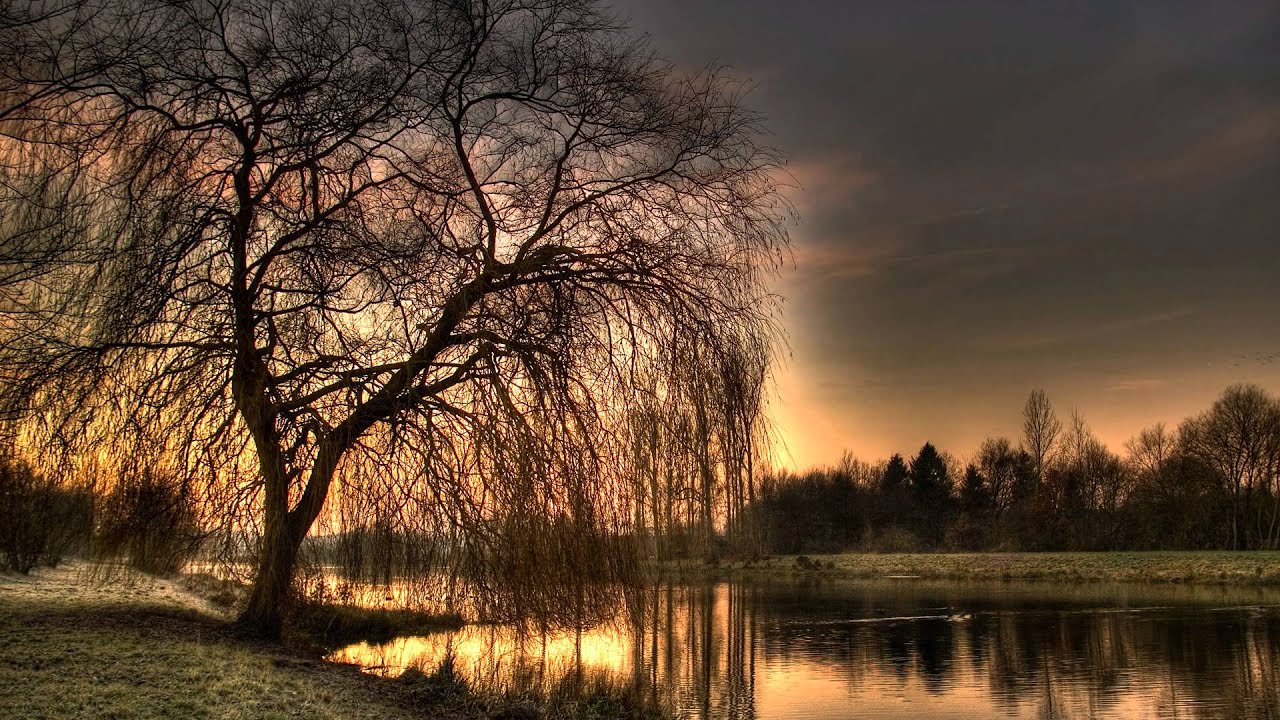 El Errante - YouTube