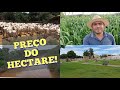 PREÇO do HECTARE de terra na Região de ARINOS-MG! Lugar para se Investir na PECUARIA e AGRICULTURA.