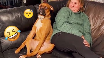 I dare you not to LAUGH at these FUNNY DOGS 😁🦮 - Best Funny Animals Videos 2025 #113