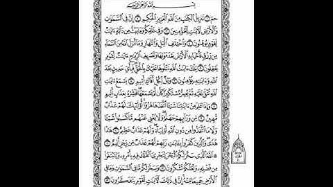 045 سورة الجاثية (AlJaathiya) بصوت الشيخ محمد صديق المنشاوي
