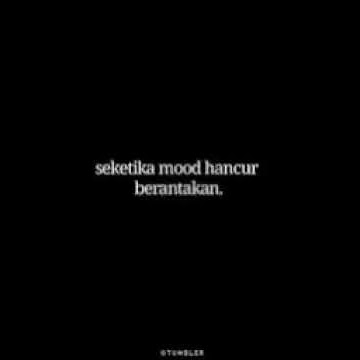 STORY WA JUNGLE DUTCH