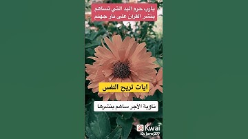 ايات من الذكر الحكيم #الجزائر #المغرب #السعودية #العراق #الكويت #قرآن ##قران_كريم #قرآن_كريم #آيات