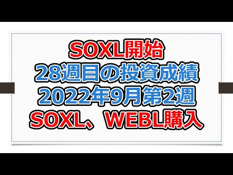 米国株投資成績、SOXL開始28週目、SOXL、WEBL購入【SOXLで老後2000万円問題解決】