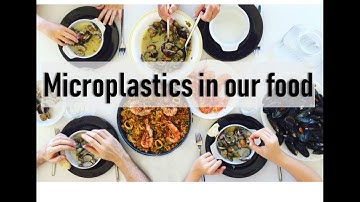 Learn #withme about microplastics and our food | Prof TRACEY ROGERS