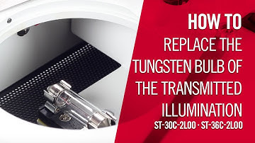 How to replace the transmitted illumination of the ST-30C tungsten models | by Motic Europe