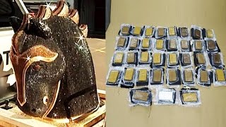 Information Why is Cocaine in This Giant Horse Head! Update