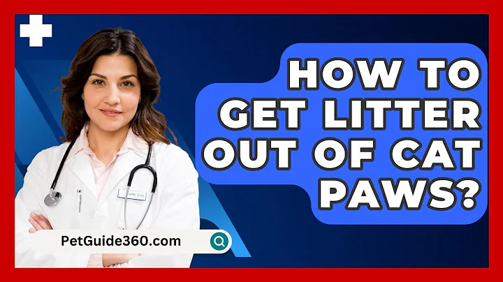 How To Get Litter Out Of Cat Paws? - PetGuide360.com