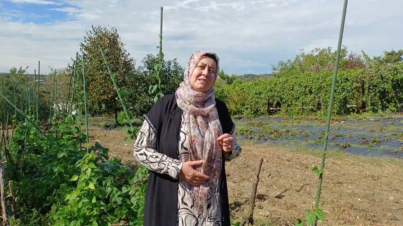 Bahçe Yeniden Nasıl Canlanır, Biberleri ve Tüm Sebzeleri  Besleyin, Bol Bol Ürün Toplayın. 