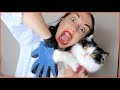 TESTING WEIRD CAT PRODUCTS!