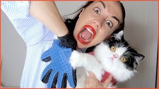 TESTING WEIRD CAT PRODUCTS!