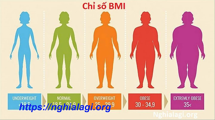 Bmi là viết tắt của từ gì năm 2024