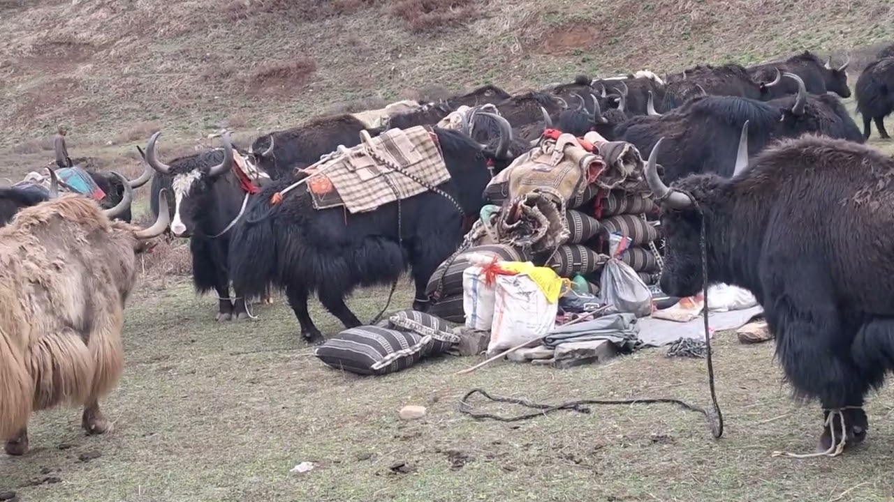 Tourist area of ​​Nepal