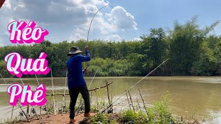 Câu Cá Sông Bé|Cấm Trại|Truy Tìm Con Cá Kể |No-Camp Fishing Journey|Searching for a Fish(P7)