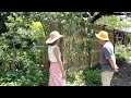 夫と二人の田舎暮らし/老後の暮らしに必要なこと３つ