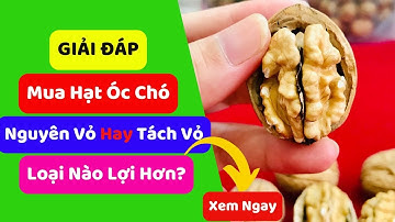 Mua Hạt Óc Chó Nguyên Vỏ Hay Tách Vỏ? | HSaHa
