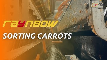 #Raynbow: sorting machine for #carrots | RAYTEC VISION SpA