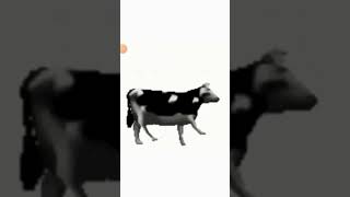 Польская Корова (Оригинал)