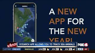 Ocearch app allows you to track sharks and other sea animals screenshot 1