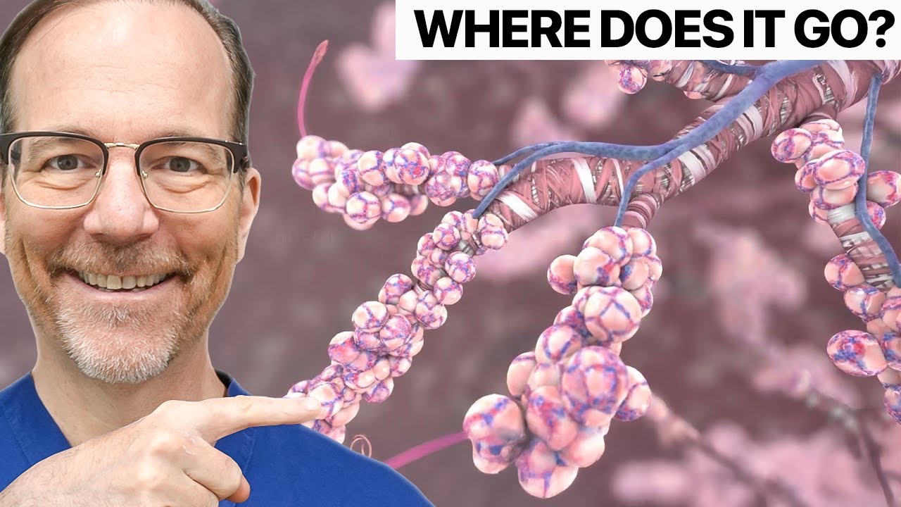 How Oxygen You Breathe Gets Delivered to Your Body 🤔 Surgeon Reacts