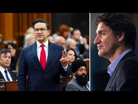 Poilievre hounds PM over Trudeau Foundation controversy | "How dumb does he think Canadians are?"
