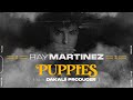 Capture de la vidéo Ray Martinez - Puppies ( Video Oficial ) "Never Alone Ep"