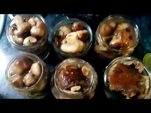 Как солить валуи грибы