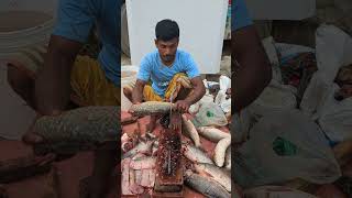 Amazing Carp Fish Cutting Skills By Expert Fish Cutter fishcutting shorts youtube viral short