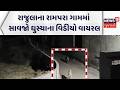 Amreli Wild Life News |રાજુલાના રામપરા ગામમાં સાવજો ઘુસ્યાના વિડીયો વાયરલ|Video Viral| Lion | News18