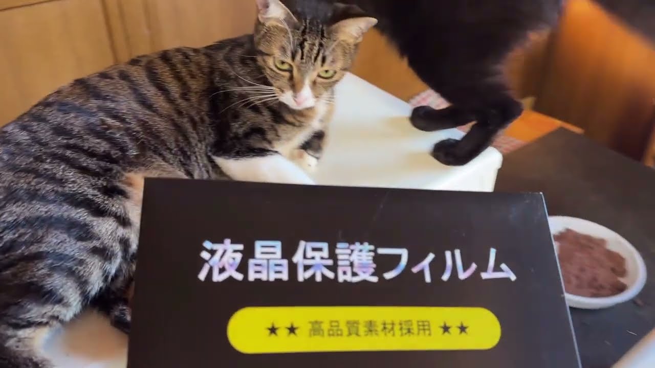 クロムブック「Lenovo 14e Chromebook gen3」に、光沢フィルムを貼りました