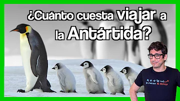 ¿Cómo puedo ir gratis a la Antártida?