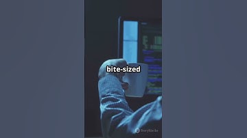 Code Every Day for 365 Days  Here’s What