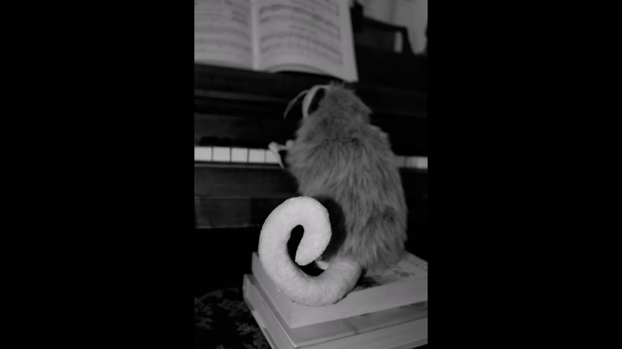 Playing Possum Grandma's Ring