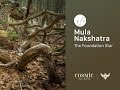 Mula Nakshatra: Stellar Mind Programing Technique