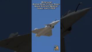 Aviation Design Rafale