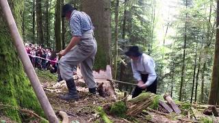 Les vieux métiers de la forêt