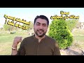قصة صحابي 3 عبدالله ذي البجادين