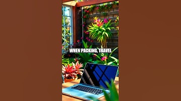 Navigating the World as a Digital Nomad