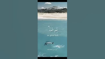 حالات واتس اب دينية قرآن 💙 إنا وجدناه صابرا نعم العبد إنه أواب 💙 تلاوة رائعة 💙