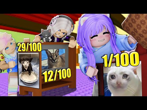 видео: НАЙДИ 100 МЕМНЫХ КИСИКОВ! Roblox Find The Cat Memes!