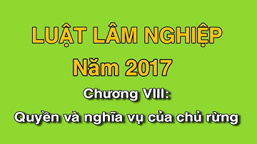 Luật Lâm nghiệp 2017 - Chương VIII: Quyền và nghĩa vụ của Chủ rừng
