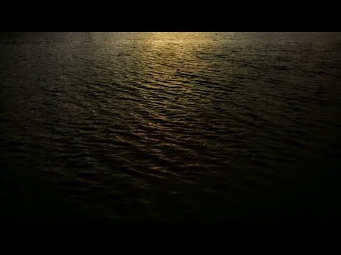 كشف لغز العثور علي واحده ست في بحر التنظيم ببسيون غربيه