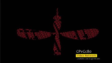 Channel 83/Site B (2016)