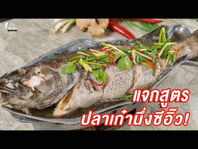 แจกสูตร] ปลาเก๋านึ่งซีอิ๊ว - ชีวิตติดครัว - YouTube