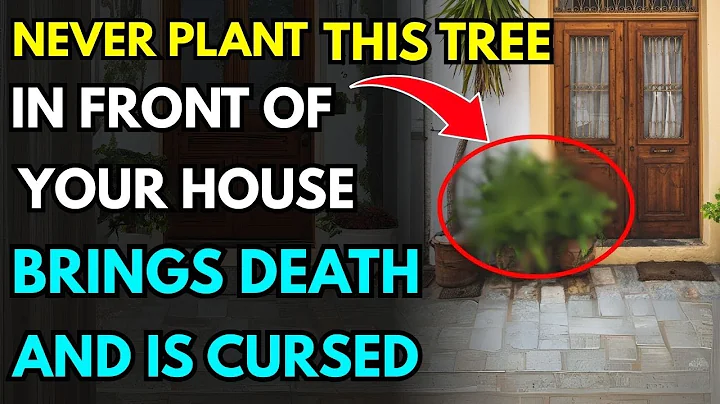 Never Plant These 6 Trees in Front of Your House or Your Family May Face Disaster!