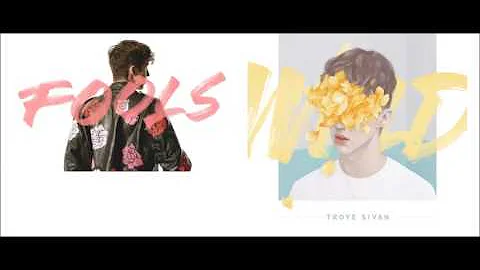 Wild Fools -  Troye Sivan (MASHUP)