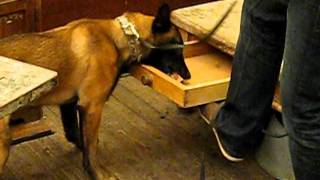 Senna 28-2-2012 003.AVI