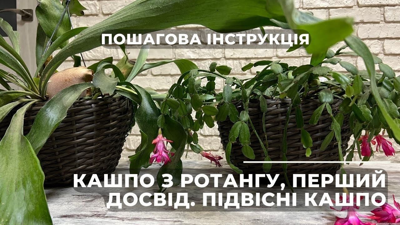 DIY Кашпо з ротангу, перший досвід. Пошагова інструкція