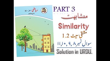 متشابہت Similarity |Exercise 1.2 Part 3| Class 10th Explanation in URDU/HINDI.