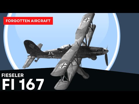 The Fieseler Fi