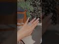 هو شمس وسط رمله مريام فارس